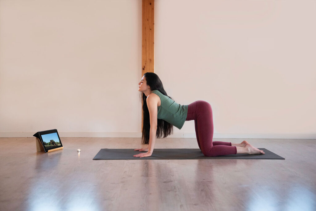 Clase de Yoga Online privada - Lou Lavigne